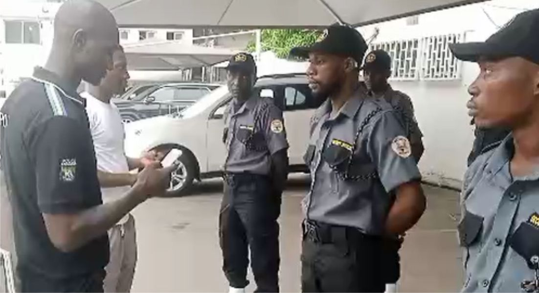 Professional Security Guard