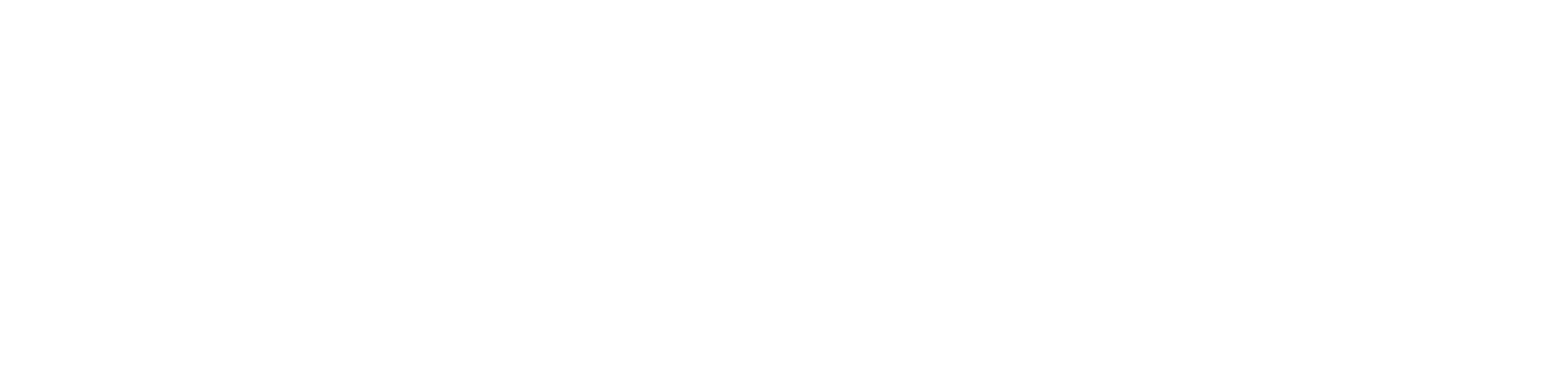 Aegis Events and Security Solutions